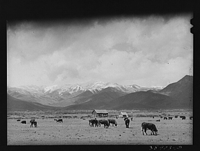 Farmland in Heber Valley 1941