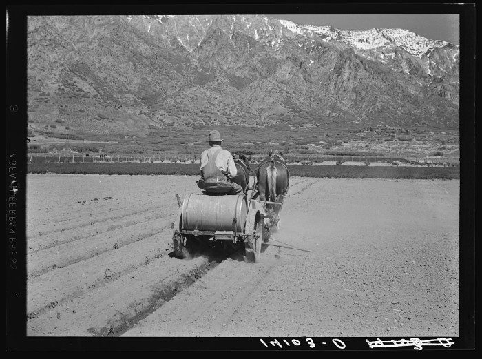 Farmer plowing his fields in Cache County 1940