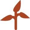 Plant and drought icon